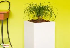 Pot De Fleurs En Polyéthylène Atlantis – 30 X 30 X 47 Cm -Serre Et Potager Soldes Magasin bac a fleurs blanc 2