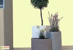 Pot De Fleurs En Polyéthylène Petalo - Ø 50 X 50 Cm -Serre Et Potager Soldes Magasin bac a fleurs tabac gris blanc