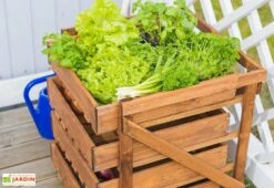 Légumier En Bois Autoclave Brun 4 Tiroirs - 50 X 54 X 60 Cm -Serre Et Potager Soldes Magasin bac legumes bois