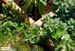 Carré Potager En Bois Autoclave Sur Pieds 80 X 80 Cm H. 88 Cm - Rezekne -Serre Et Potager Soldes Magasin bac potager bois sureleve ekju 253394