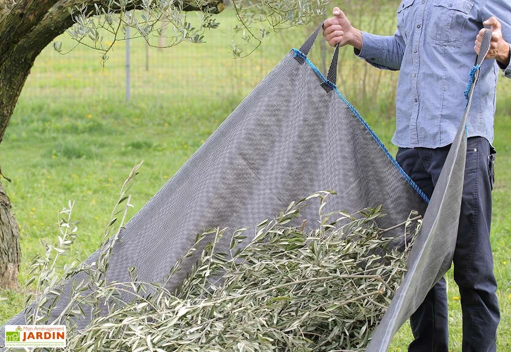 Bâche De Ramassage Jardin En Polypropylène Avec Poignées 340 X 200 Cm 1 Bâche De Ramassage Jardin En Polypropylène Avec Poignées 340 X 200 Cm