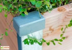 Carré Potager En Bois Douglas 19 Mm – 75 X 80 X 36 Cm 6 Carré Potager En Bois Douglas 19 Mm – 75 X 80 X 36 Cm -Serre Et Potager Soldes Magasin carre potager bois 19mm douglas france