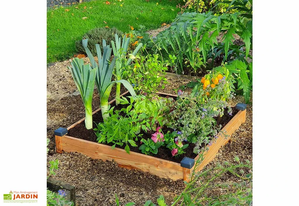 Carré Potager En Bois Douglas Non Traité Premium – 73 L 1 Carré Potager En Bois Douglas Non Traité Premium – 73 L