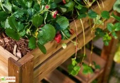 Carré Potager Sur Pieds En Bois Autoclave Brun - 75 X 75 X 79 Cm -Serre Et Potager Soldes Magasin carre potager bois 1 1