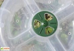 Cloche Potagère à Forcer Modulo ø35 Cm (lot De 3) -Serre Et Potager Soldes Magasin cloche potagere modulo 2