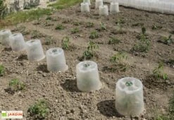 Cloche Potagère à Forcer Modulo ø35 Cm (lot De 3) -Serre Et Potager Soldes Magasin cloche potagere modulo 3