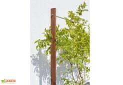 Jardinière Avec Treillis Lign Z (100x30x130cm) -Serre Et Potager Soldes Magasin details treillis bac potager bois
