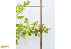 Jardinière Avec Treillis Lign Z (100x30x130cm) -Serre Et Potager Soldes Magasin details treillis jardiniere bois