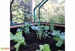 Axi Table De Culture En Bois De Hemlock + Bâche Plastique - 110 X 93 X 99 Cm -Serre Et Potager Soldes Magasin interieur mini serre sur pieds bois
