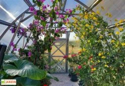 Serre De Jardin En Polycarbonate Et Acier Galvanisé -Serre Et Potager Soldes Magasin interieur serre jardin polycarbonate