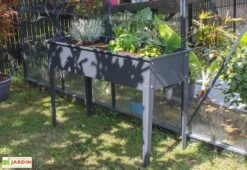 Potager Sur Pieds En Acier Galvanisé – Cipollina