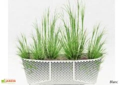 Jardinière En Métal – 118 X 40 Cm 8 Jardinière En Métal – 118 X 40 Cm -Serre Et Potager Soldes Magasin jardinie re rectangle