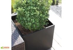 Jardinière En Béton Fibré Kube 45 (45x45)