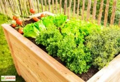 Jardinière En Bois De Mélèze Bac Potager 170 X 90 X 84 Cm -Serre Et Potager Soldes Magasin jardiniere bois potager 170x84cm