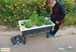 Jardinière Enfant Calipso Mini Junior + Panier Et Acc. – Bleu Pastel -Serre Et Potager Soldes Magasin jardiniere enfant calipso 40l panier kajo 4l bleu pastel 2