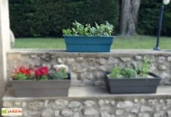 Jardinière Calipso Maxi Basic 40L + Pieds Amovibles – Bleu Canard -Serre Et Potager Soldes Magasin jardiniere polypropylene 40l pieds amovibles calipso maxi basic bleu canard 2