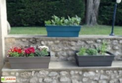 Jardinière Calipso Maxi Basic 40L + Pieds Amovibles – Taupe -Serre Et Potager Soldes Magasin jardiniere polypropylene 40l pieds amovibles calipso maxi basic taupe 3