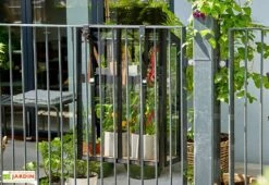 Mini Serre De Balcon En Verre Trempé – Juliana Balcony -Serre Et Potager Soldes Magasin mini serre jardin verre trempe aluminium juliana balcony 2