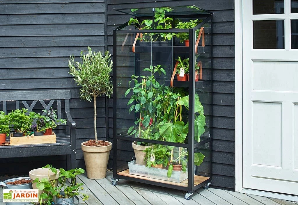 Mini Serre De Jardin En Verre Trempé – Juliana City 1 Mini Serre De Jardin En Verre Trempé – Juliana City