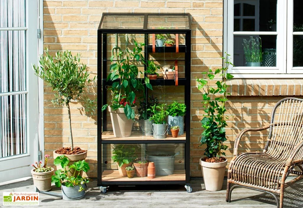 Mini Serre De Jardin En Verre Trempé – Juliana City 2 Mini Serre De Jardin En Verre Trempé – Juliana City – Image 2