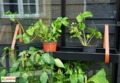 Mini Serre De Jardin En Verre Trempé – Juliana City 10 Mini Serre De Jardin En Verre Trempé – Juliana City -Serre Et Potager Soldes Magasin mini serre jardin verre trempe aluminium juliana city 4