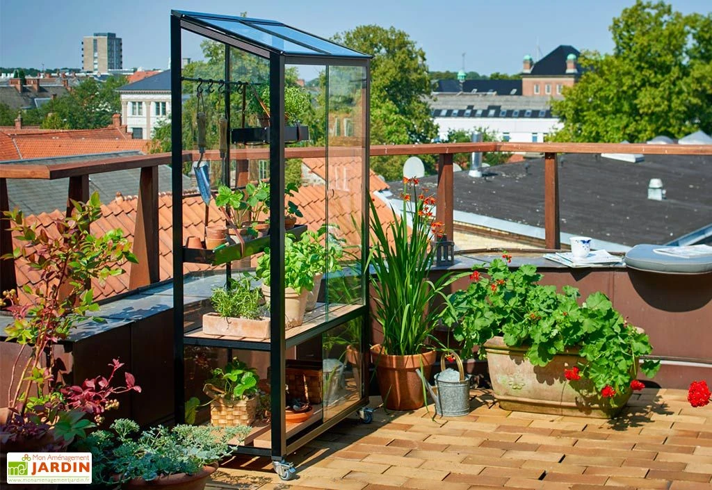 Mini Serre De Jardin En Verre Trempé – Juliana City 3 Mini Serre De Jardin En Verre Trempé – Juliana City – Image 3