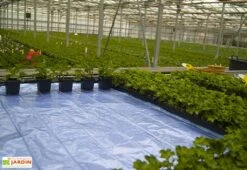 Nappe Chauffante En Aluminium – Largeur 150 Cm (8 Dimensions) -Serre Et Potager Soldes Magasin nappe chauffante aluminium largeur 150 cm 8 dimensions