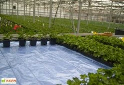 Nappe Chauffante En Aluminium – Largeur 120 Cm (9 Dimensions) 5 Nappe Chauffante En Aluminium – Largeur 120 Cm (9 Dimensions) -Serre Et Potager Soldes Magasin nappe chauffante aluminium largeur 20 cm 9 dimensions 2