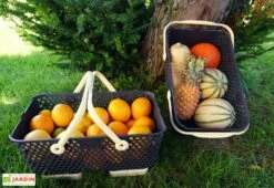 Paniers De Récolte Kajo 15L - 48 X 29 X 20 Cm (lot De 2) 9 Paniers De Récolte Kajo 15L - 48 X 29 X 20 Cm (lot De 2) -Serre Et Potager Soldes Magasin panier recolte kajo 15 jaune pastel