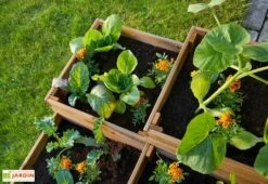 Carré Potager En Bois Autoclave à étages 4 Compartiments - 90 X 90 X 46 Cm -Serre Et Potager Soldes Magasin plantes potager 4 compartiments