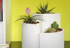 Pot De Fleurs En Polyéthylène Petalo - Ø 50 X 50 Cm -Serre Et Potager Soldes Magasin pot de fleurs blanc 5