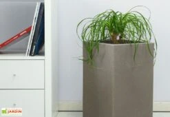 Pot De Fleurs En Polyéthylène Atlantis – 30 X 30 X 47 Cm -Serre Et Potager Soldes Magasin pot de fleurs gris 6