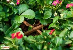 Carré Potager Sur Pieds En Bois Autoclave Brun - 75 X 75 X 79 Cm -Serre Et Potager Soldes Magasin potager bois surelever 1