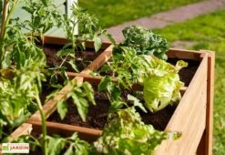 Carré Potager En Bois Autoclave Sur Pieds 120 X 80 Cm H. 88 Cm - Ventspils -Serre Et Potager Soldes Magasin separateur bac potager bois ekju 253478