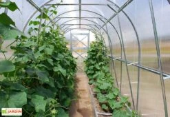 Serre De Jardin Tunnel En Polycarbonate Et Acier 8 Serre De Jardin Tunnel En Polycarbonate Et Acier -Serre Et Potager Soldes Magasin serre jardin tunnel interieur