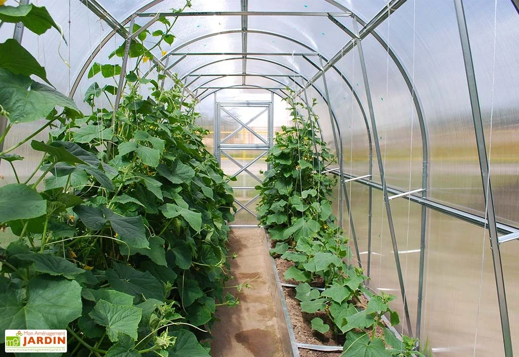 Serre De Jardin Tunnel En Polycarbonate Et Acier 4 Serre De Jardin Tunnel En Polycarbonate Et Acier – Image 4