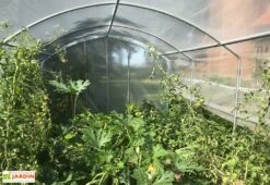 Serre Tunnel Tonneau En Polyéthylène 9 M² - 4 Saisons 3 X 3 M -Serre Et Potager Soldes Magasin serre jardin tunnel polyethylene tonneau 4 saisons 3m
