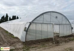 Serre Professionnelle Richel En Acier Et Polyéthylène 8 X 50 M