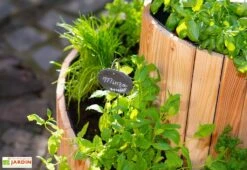 Spirale Aromatique – Jardinière En Bois De Mélèze Ø55 Cm -Serre Et Potager Soldes Magasin spirale aromatique jardiniere bois 55cm