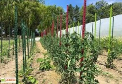 Tuteur Avec Attaches Mikado Anthracite 150 Cm (Lot De 6) -Serre Et Potager Soldes Magasin tuteurs tomates colores plastique 150cm 2