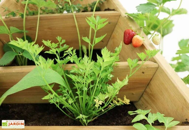 Serre Et Potager Soldes Magasin -Serre Et Potager Soldes Magasin details jardiniere pyramide bois 768x529 1